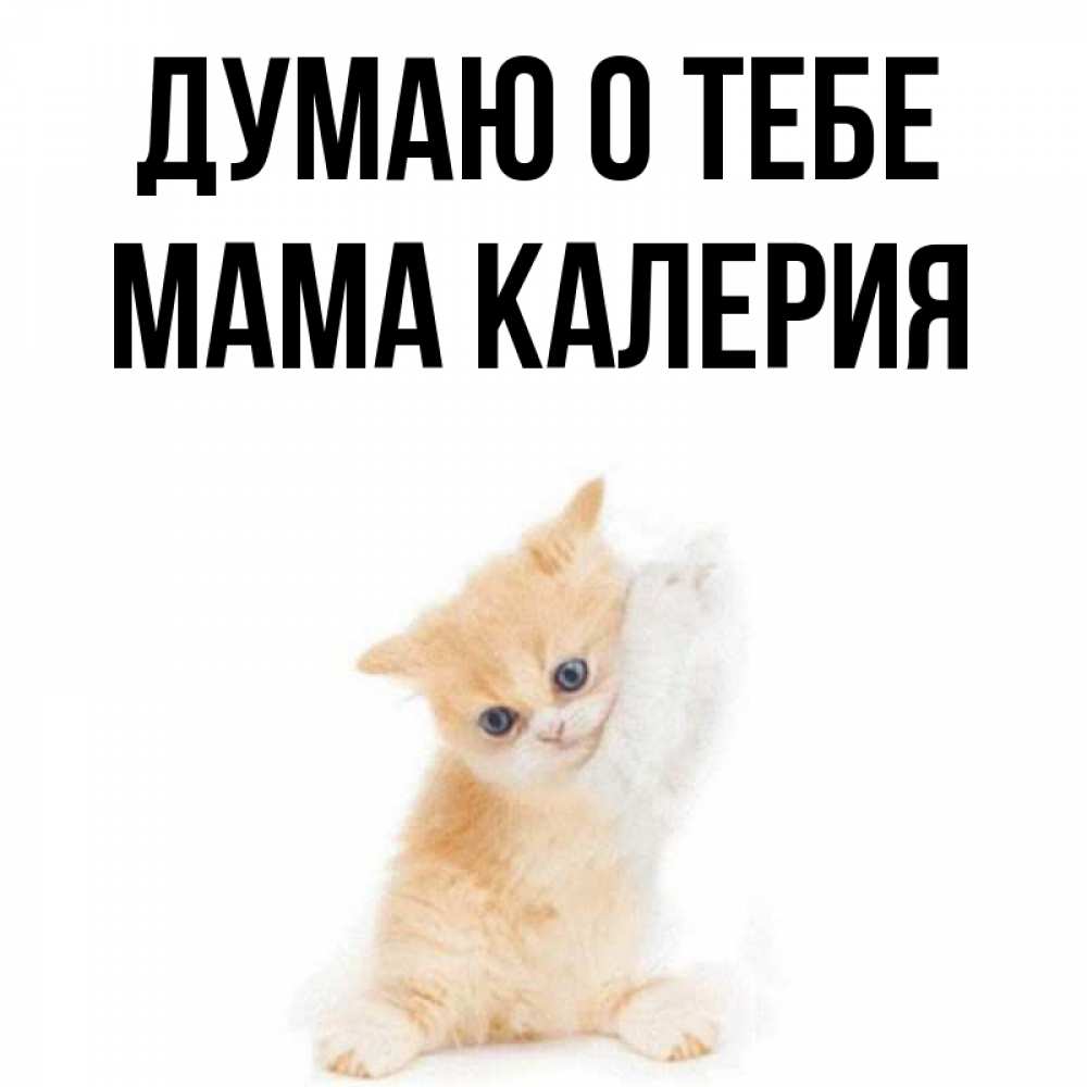 Открытка на каждый день с именем, Мама-Калерия Думаю о тебе зверушки и милота Прикольная открытка с пожеланием онлайн скачать бесплатно 
