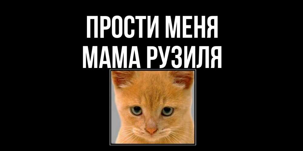 Открытка на каждый день с именем, Мама-Рузиля Прости меня рыжий грустный кот просит прощения Прикольная открытка с пожеланием онлайн скачать бесплатно 