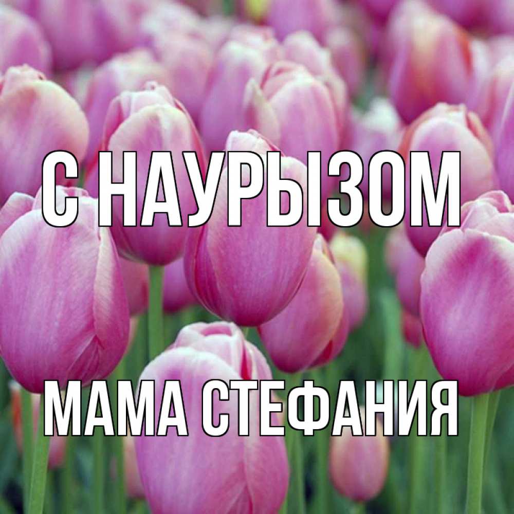 Открытка на каждый день с именем, Мама-Стефания С наурызом праздник весны наурыз 69 Прикольная открытка с пожеланием онлайн скачать бесплатно 