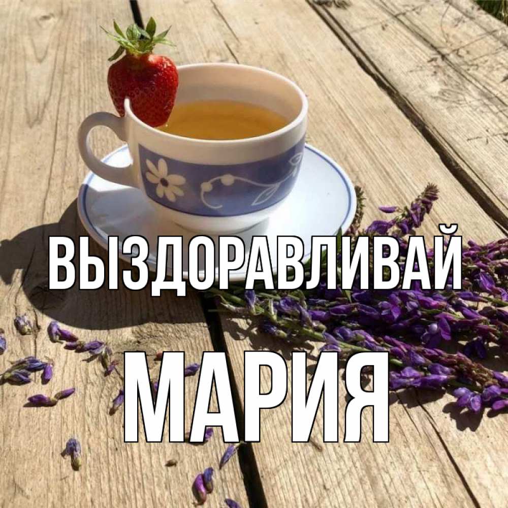 Открытка на каждый день с именем, Мария Выздоравливай чай Прикольная открытка с пожеланием онлайн скачать бесплатно 
