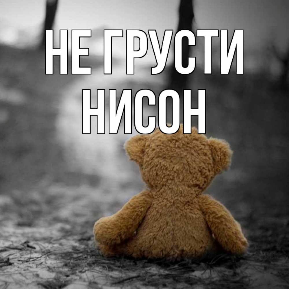 Открытка на каждый день с именем, Нисон Не грусти медведь со спин Прикольная открытка с пожеланием онлайн скачать бесплатно 