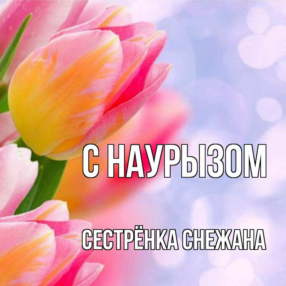 Открытка на каждый день с именем, Сестрёнка-Снежана С наурызом тюльпаны 2 Прикольная открытка с пожеланием онлайн скачать бесплатно 