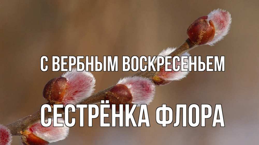 Открытка на каждый день с именем, Сестрёнка-Флора С вербным воскресеньем верба Прикольная открытка с пожеланием онлайн скачать бесплатно 