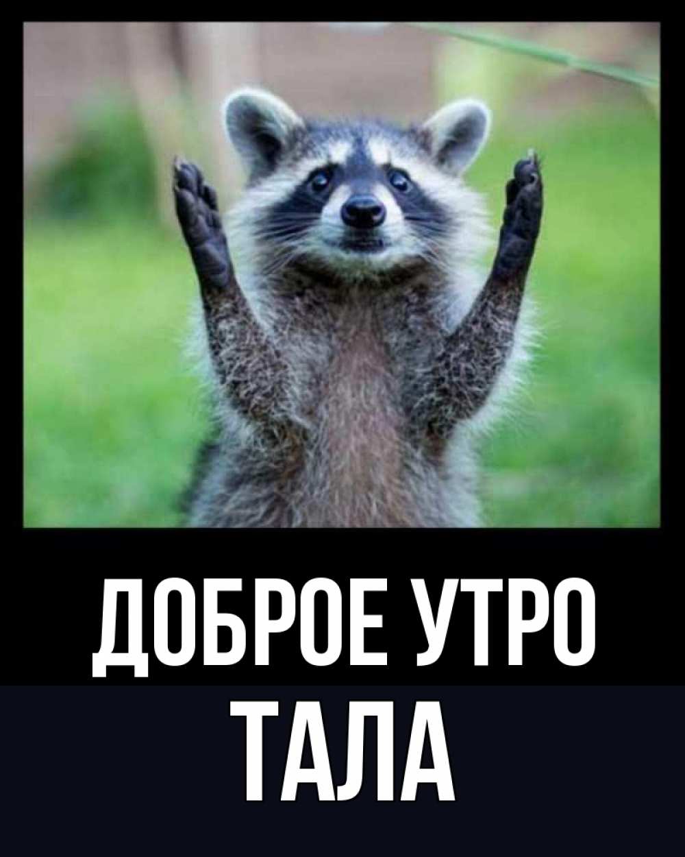 Открытка на каждый день с именем, Тала Доброе утро хорошее настроение утречком Прикольная открытка с пожеланием онлайн скачать бесплатно 