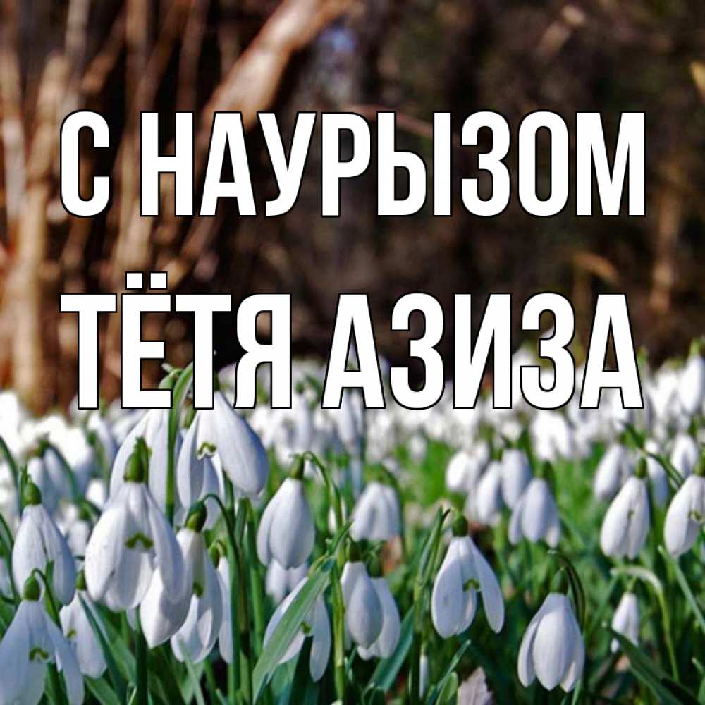 Открытка на каждый день с именем, Тётя-Азиза С наурызом с подснежниками 1 Прикольная открытка с пожеланием онлайн скачать бесплатно 
