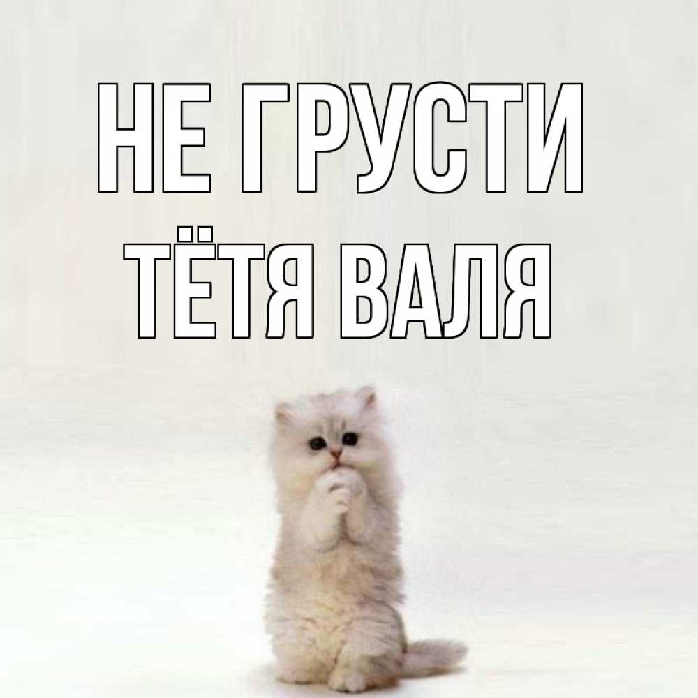Открытка на каждый день с именем, Тётя-Валя Не грусти грустный кот Прикольная открытка с пожеланием онлайн скачать бесплатно 