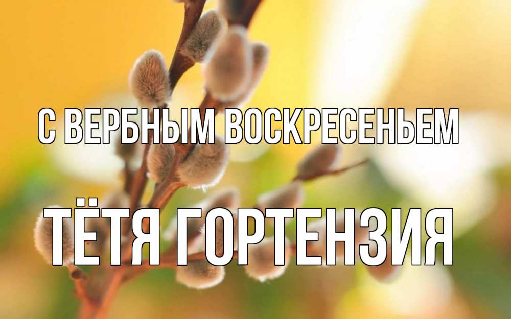 Открытка на каждый день с именем, Тётя-Гортензия С вербным воскресеньем верба Прикольная открытка с пожеланием онлайн скачать бесплатно 