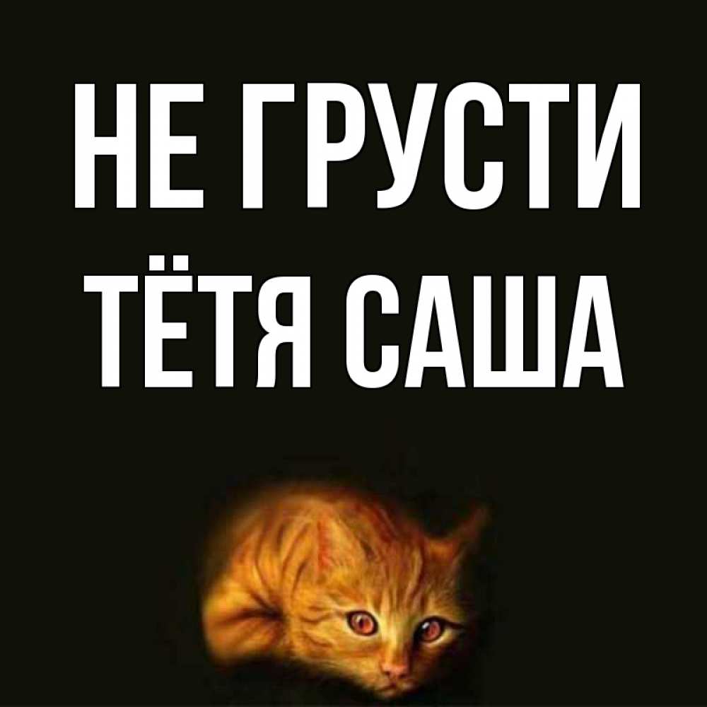 Открытка на каждый день с именем, Тётя-Саша Не грусти лежащий кот в темноте Прикольная открытка с пожеланием онлайн скачать бесплатно 