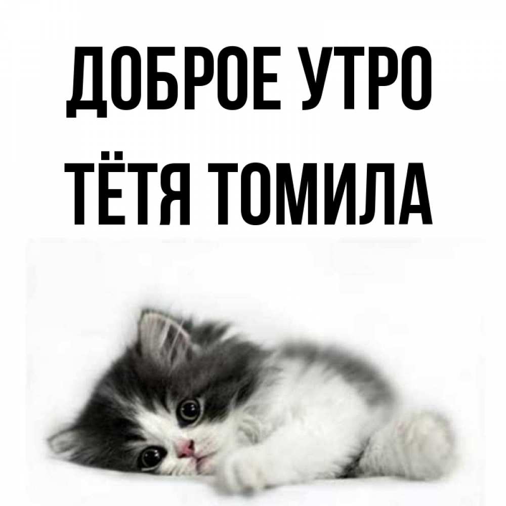 Открытка на каждый день с именем, Тётя-Томила Доброе утро кот лапки Прикольная открытка с пожеланием онлайн скачать бесплатно 
