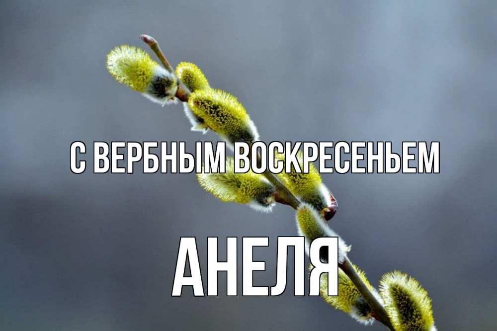 Открытка на каждый день с именем, Анеля С вербным воскресеньем верба Прикольная открытка с пожеланием онлайн скачать бесплатно 