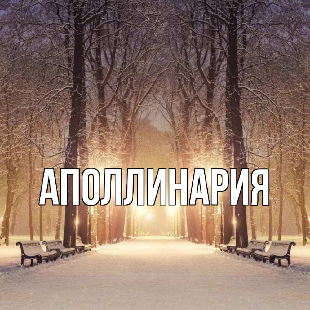 Открытка на каждый день с именем, Аполлинария Главная зима, парк, фонарь, лес Прикольная открытка с пожеланием онлайн скачать бесплатно 