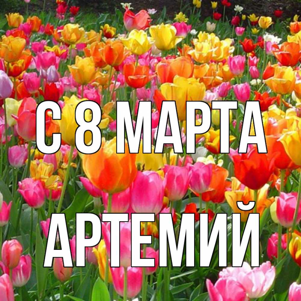 Открытка на каждый день с именем, Артемий С 8 МАРТА на международный женский день Прикольная открытка с пожеланием онлайн скачать бесплатно 