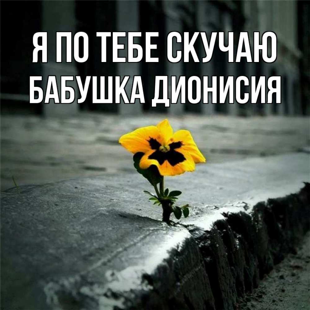 Открытка на каждый день с именем, Бабушка-Дионисия Я по тебе скучаю надеюсь будет лучше Прикольная открытка с пожеланием онлайн скачать бесплатно 