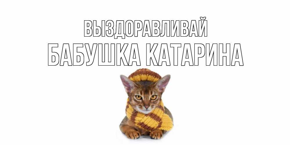 Открытка на каждый день с именем, Бабушка-Катарина Выздоравливай родные не болейте Прикольная открытка с пожеланием онлайн скачать бесплатно 