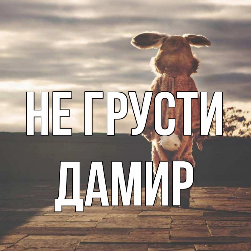 Открытка на каждый день с именем, Дамир Не грусти со спины Прикольная открытка с пожеланием онлайн скачать бесплатно 