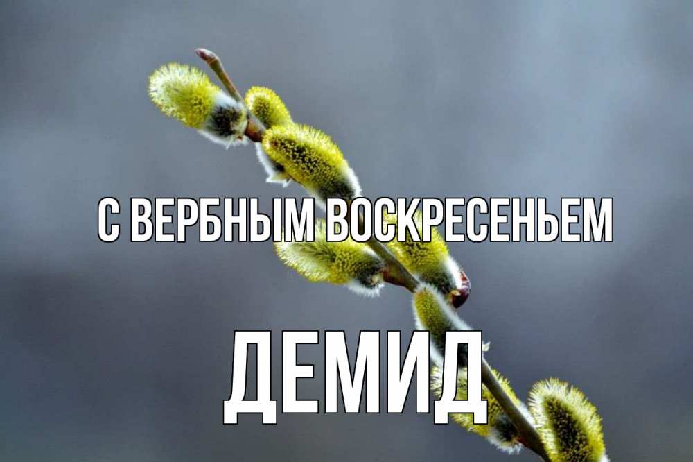 Открытка на каждый день с именем, Демид С вербным воскресеньем верба Прикольная открытка с пожеланием онлайн скачать бесплатно 