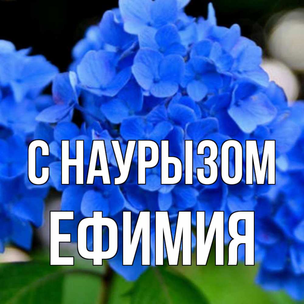 Открытка на каждый день с именем, Ефимия С наурызом синие цветы Прикольная открытка с пожеланием онлайн скачать бесплатно 