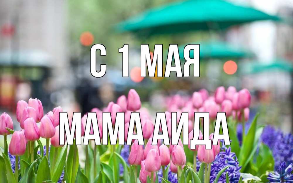Открытка на каждый день с именем, Мама-Аида С 1 мая С 1 мая Прикольная открытка с пожеланием онлайн скачать бесплатно 