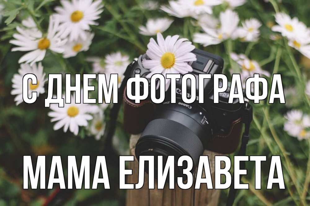 Открытка на каждый день с именем, Мама-Елизавета С днем фотографа с днем фотографа Прикольная открытка с пожеланием онлайн скачать бесплатно 