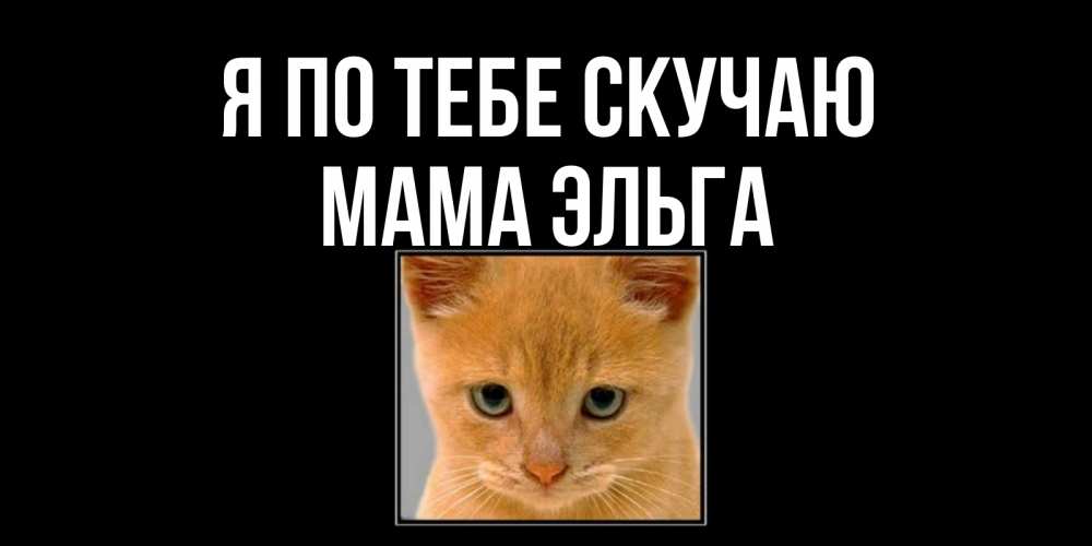 Открытка на каждый день с именем, Мама-Эльга Я по тебе скучаю открытки рыжий котенок скучает по тебе Прикольная открытка с пожеланием онлайн скачать бесплатно 