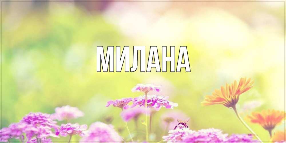 Открытка на каждый день с именем, Милана Главная красивая открытка с летней темой Прикольная открытка с пожеланием онлайн скачать бесплатно 