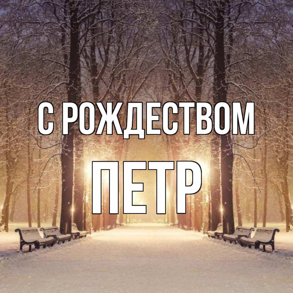 Открытка на каждый день с именем, Петр С рождеством зима, парк, фонарь, лес Прикольная открытка с пожеланием онлайн скачать бесплатно 