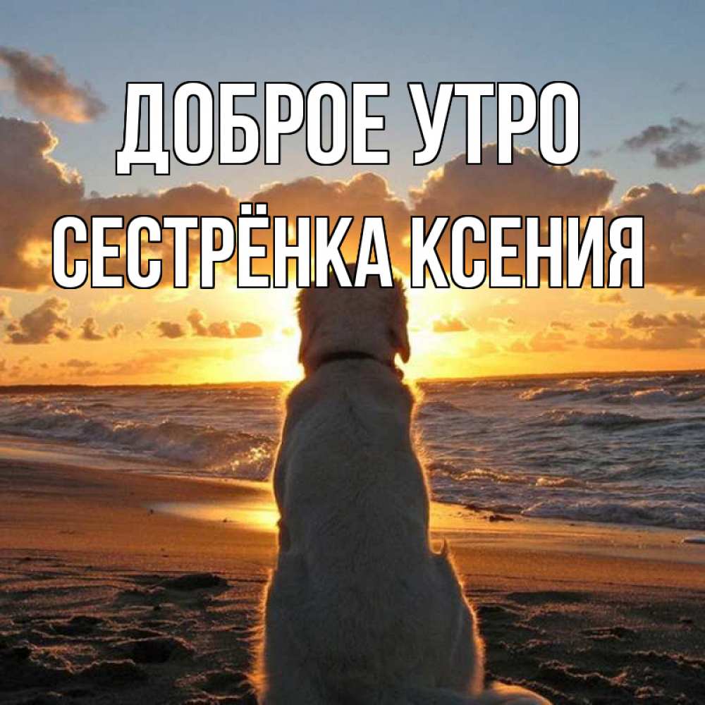 Открытка на каждый день с именем, Сестрёнка-Ксения Доброе утро восход солнца Прикольная открытка с пожеланием онлайн скачать бесплатно 