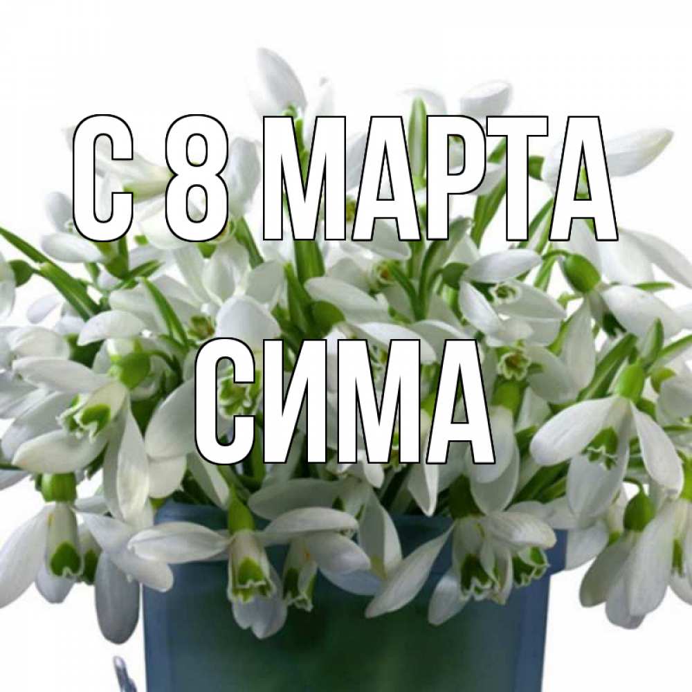 Открытка на каждый день с именем, Сима С 8 МАРТА цветы к международному женскому дню Прикольная открытка с пожеланием онлайн скачать бесплатно 
