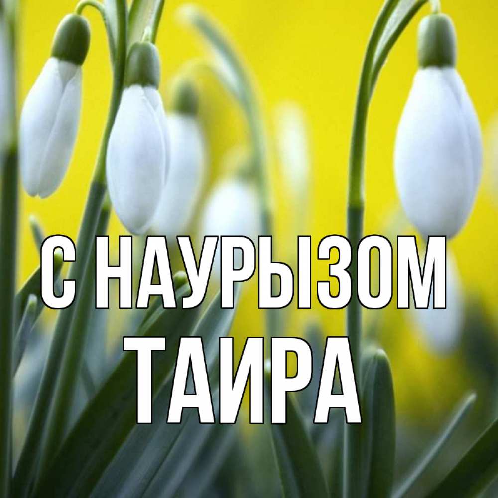 Открытка на каждый день с именем, Таира С наурызом весенние цветы Прикольная открытка с пожеланием онлайн скачать бесплатно 