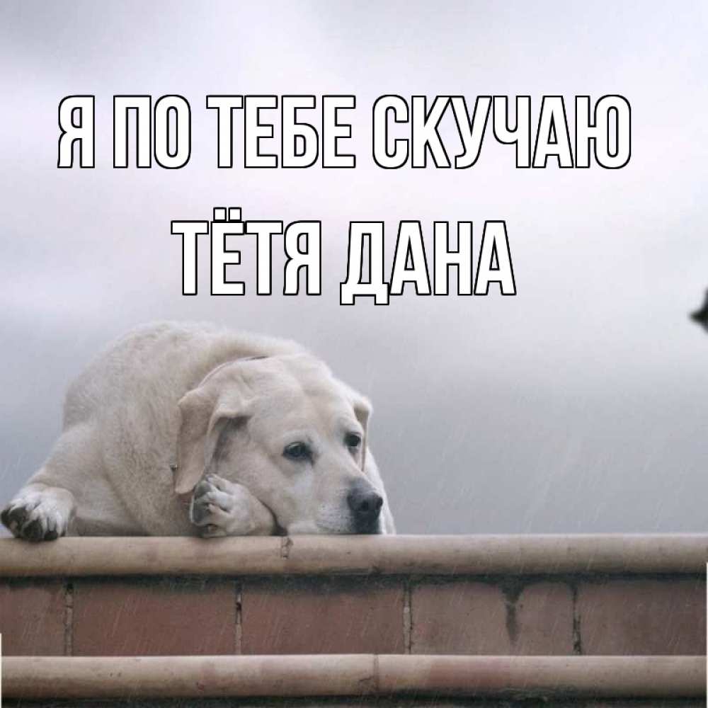 Открытка на каждый день с именем, Тётя-Дана Я по тебе скучаю ждет Прикольная открытка с пожеланием онлайн скачать бесплатно 