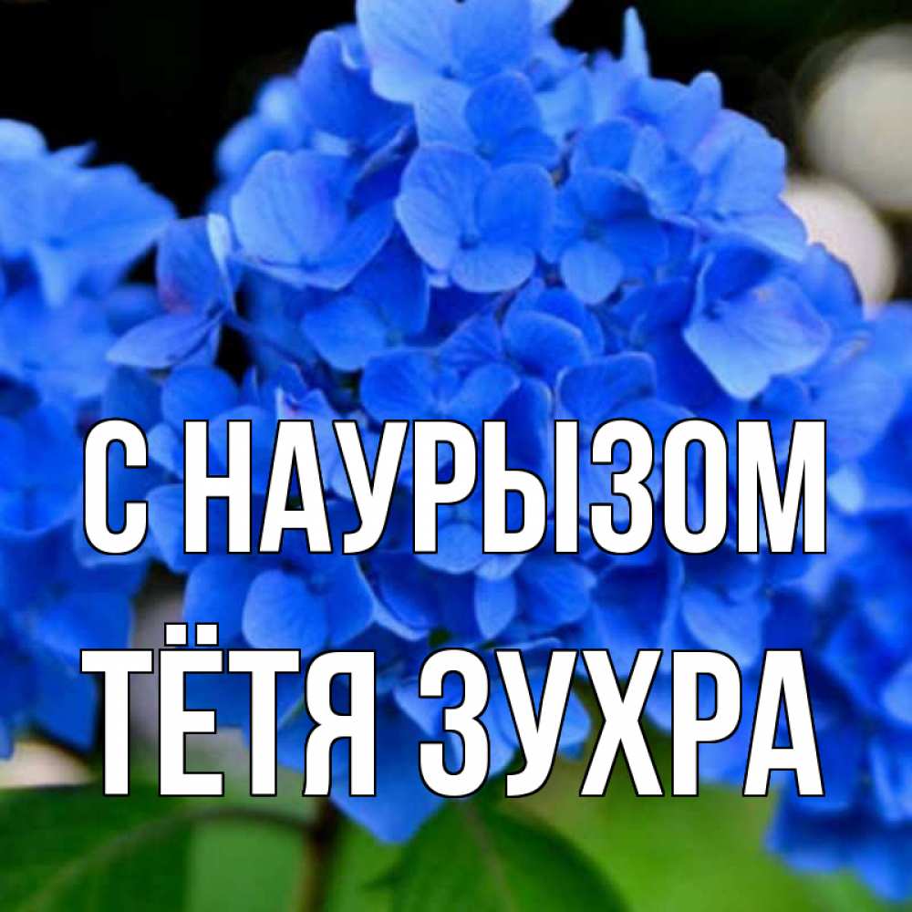 Открытка на каждый день с именем, Тётя-Зухра С наурызом синие цветы Прикольная открытка с пожеланием онлайн скачать бесплатно 