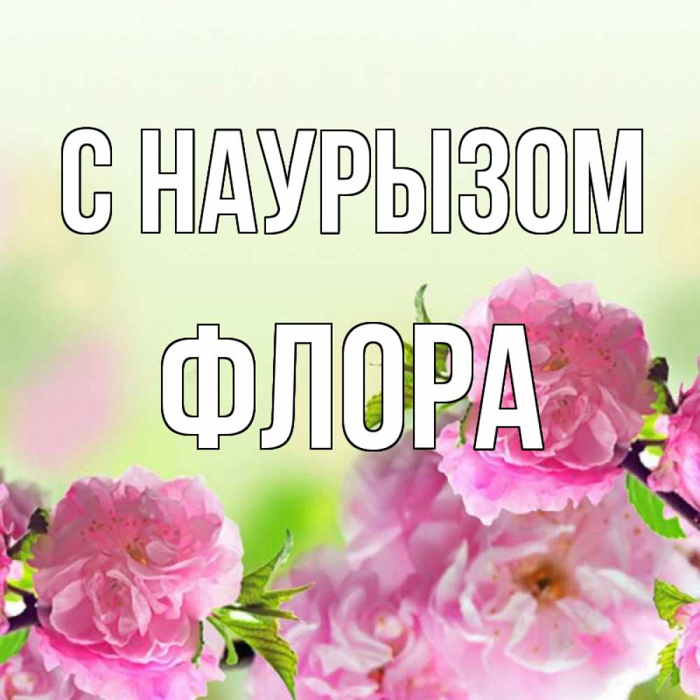 Открытка на каждый день с именем, Флора С наурызом цветы Прикольная открытка с пожеланием онлайн скачать бесплатно 