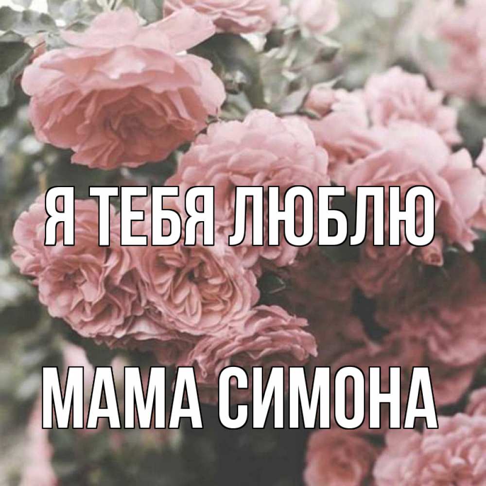 Открытка на каждый день с именем, Мама-Симона Я тебя люблю розы 3 Прикольная открытка с пожеланием онлайн скачать бесплатно 