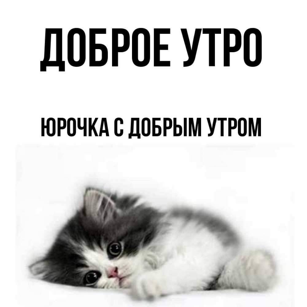Доброе утро юрочка картинки