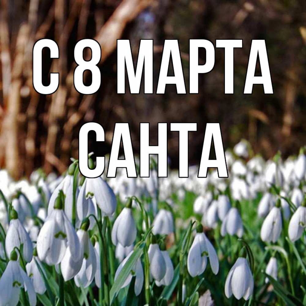 Картинка С 8 марта, Санта
