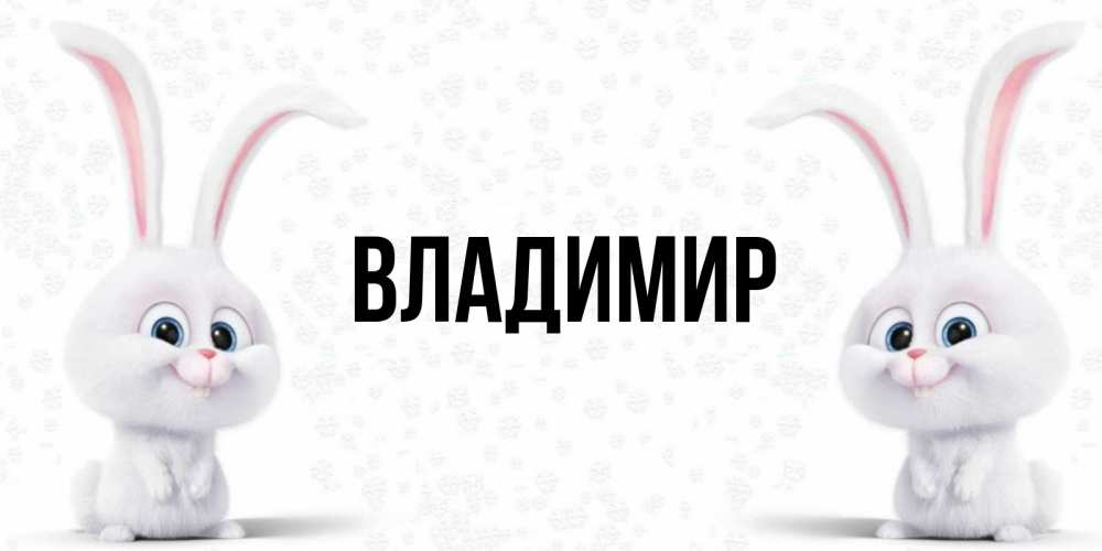 Открытка на каждый день с именем, Владимир Главная кролики с длинными ушками Прикольная открытка с пожеланием онлайн скачать бесплатно 