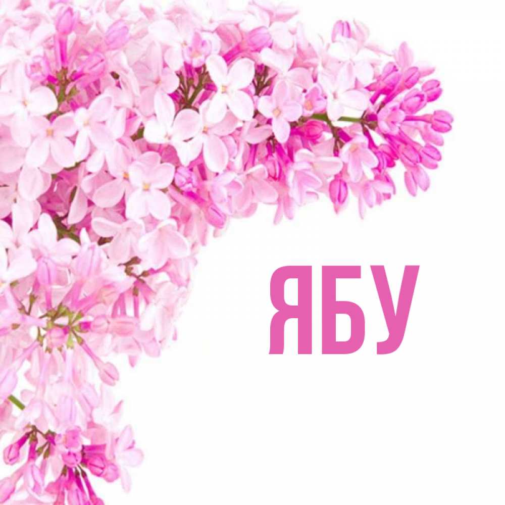 имя аня. цветы для анютки. открытка имя аня. картинки с именем яна. фото с надписью анна.