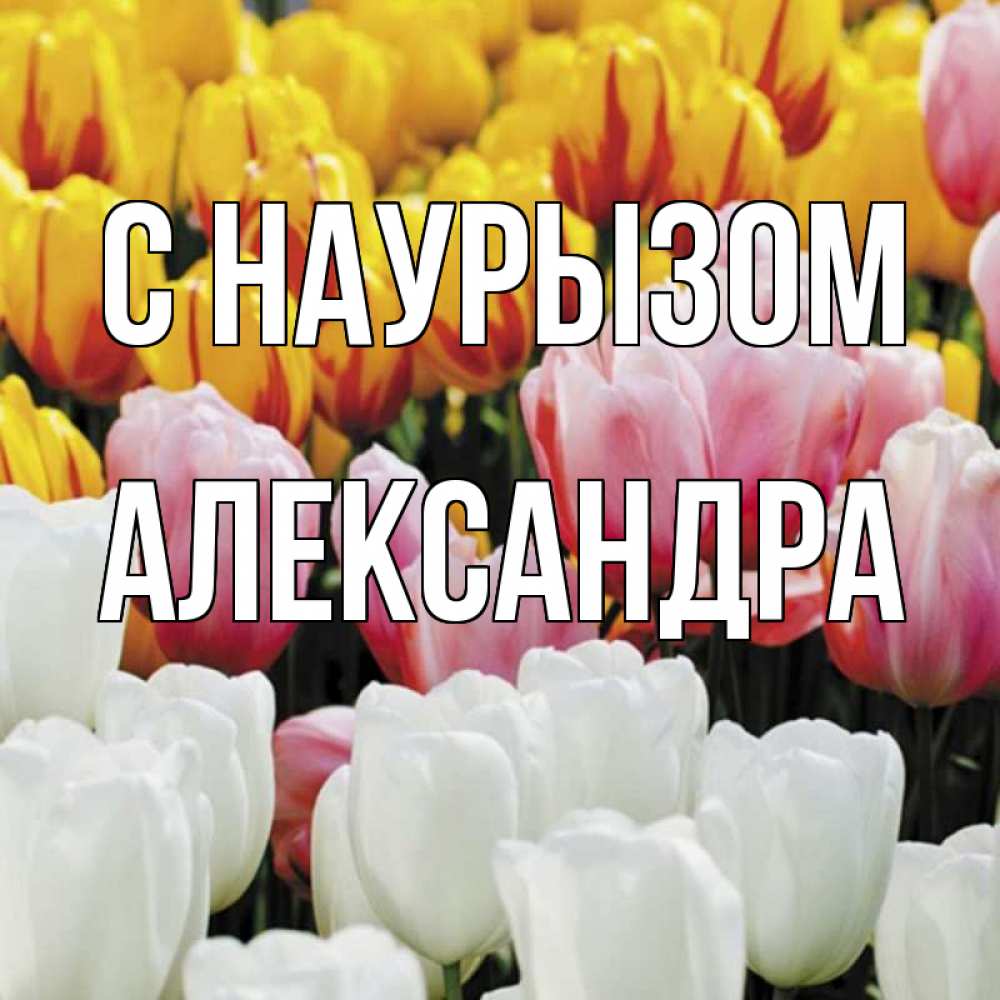 Открытка на каждый день с именем, Александра С наурызом разноцветные цветы Прикольная открытка с пожеланием онлайн скачать бесплатно 