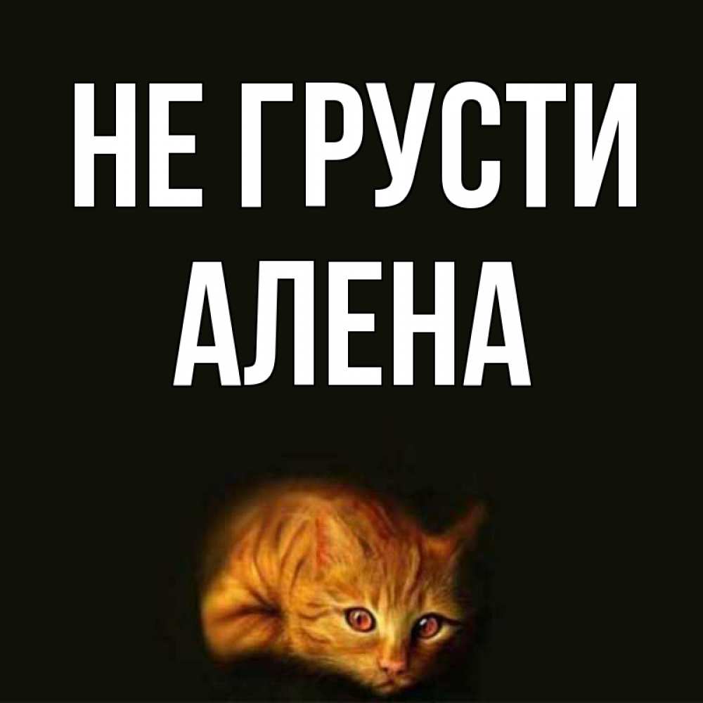 Открытка на каждый день с именем, Алена Не грусти лежащий кот в темноте Прикольная открытка с пожеланием онлайн скачать бесплатно 