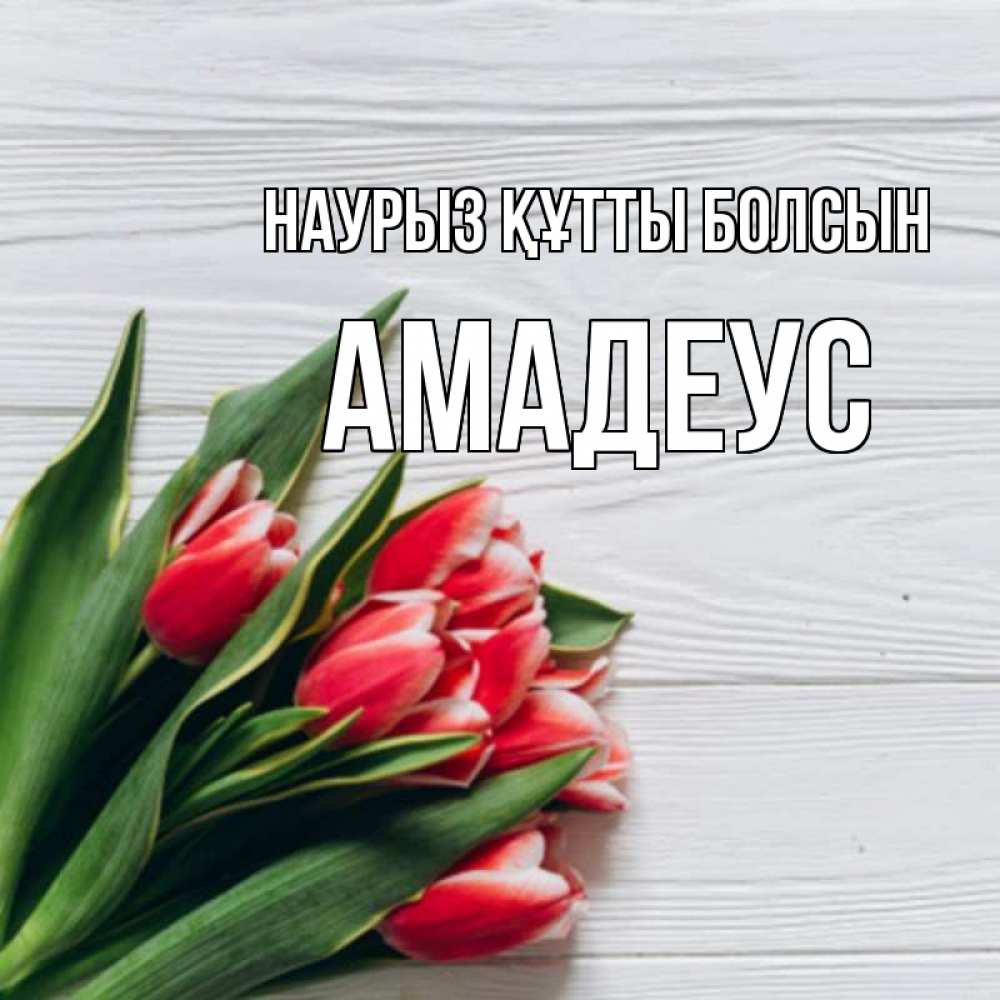 Открытка на каждый день с именем, Амадеус Наурыз құтты болсын весна 2 Прикольная открытка с пожеланием онлайн скачать бесплатно 