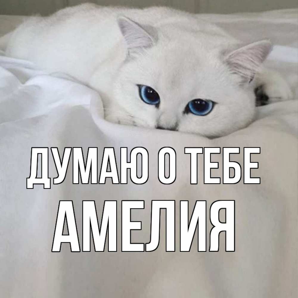Открытка на каждый день с именем, Амелия Думаю о тебе я очень по тебе скучаю и тоскую Прикольная открытка с пожеланием онлайн скачать бесплатно 