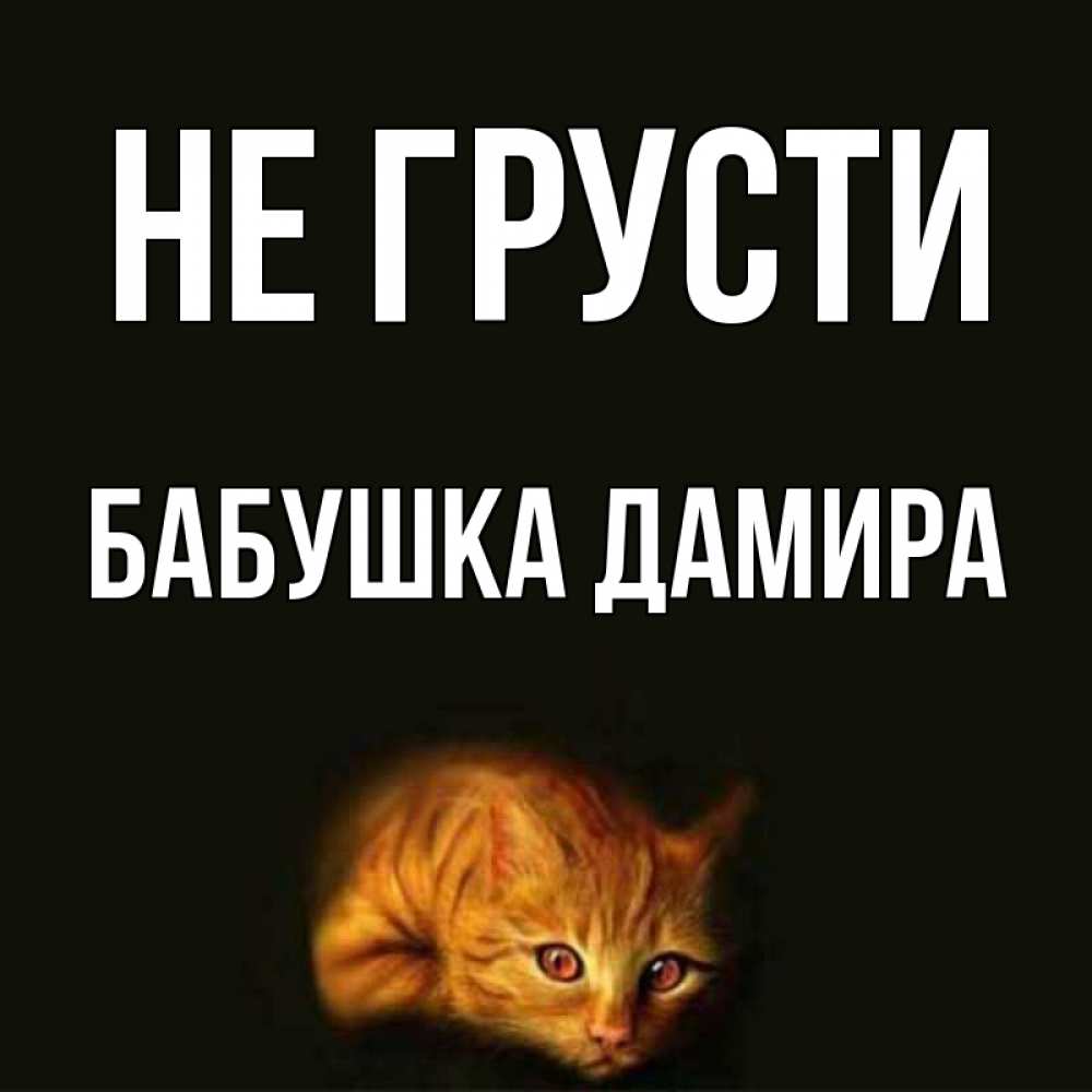 Открытка на каждый день с именем, Бабушка-Дамира Не грусти лежащий кот в темноте Прикольная открытка с пожеланием онлайн скачать бесплатно 