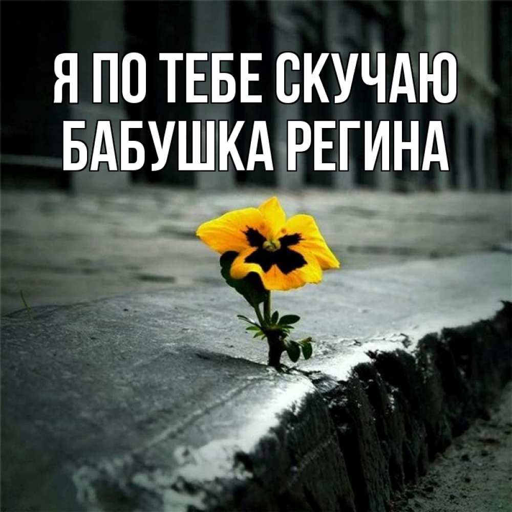 Открытка на каждый день с именем, Бабушка-Регина Я по тебе скучаю надеюсь будет лучше Прикольная открытка с пожеланием онлайн скачать бесплатно 