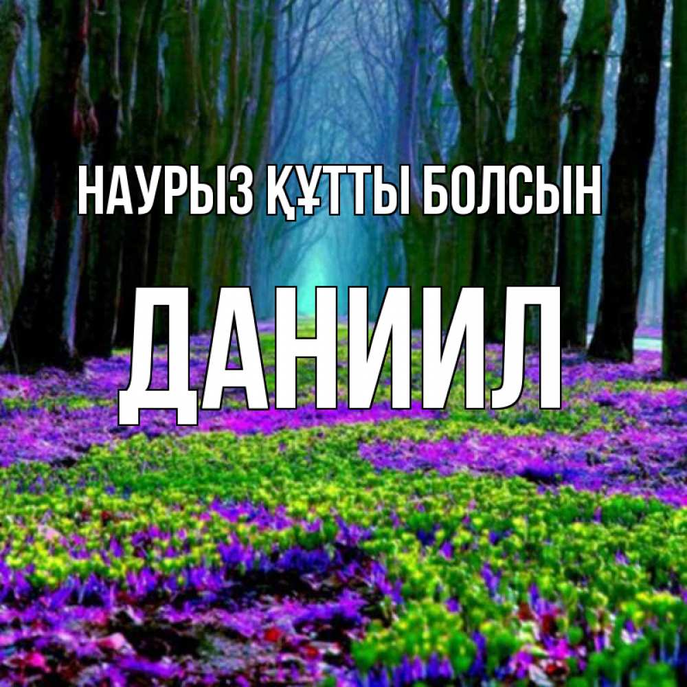 Открытка на каждый день с именем, Даниил Наурыз құтты болсын фиолетовые цветы в лесу 1 Прикольная открытка с пожеланием онлайн скачать бесплатно 