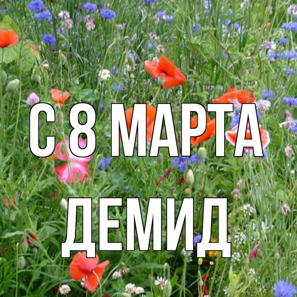 Открытка на каждый день с именем, Демид С 8 МАРТА международный женский день 4 Прикольная открытка с пожеланием онлайн скачать бесплатно 