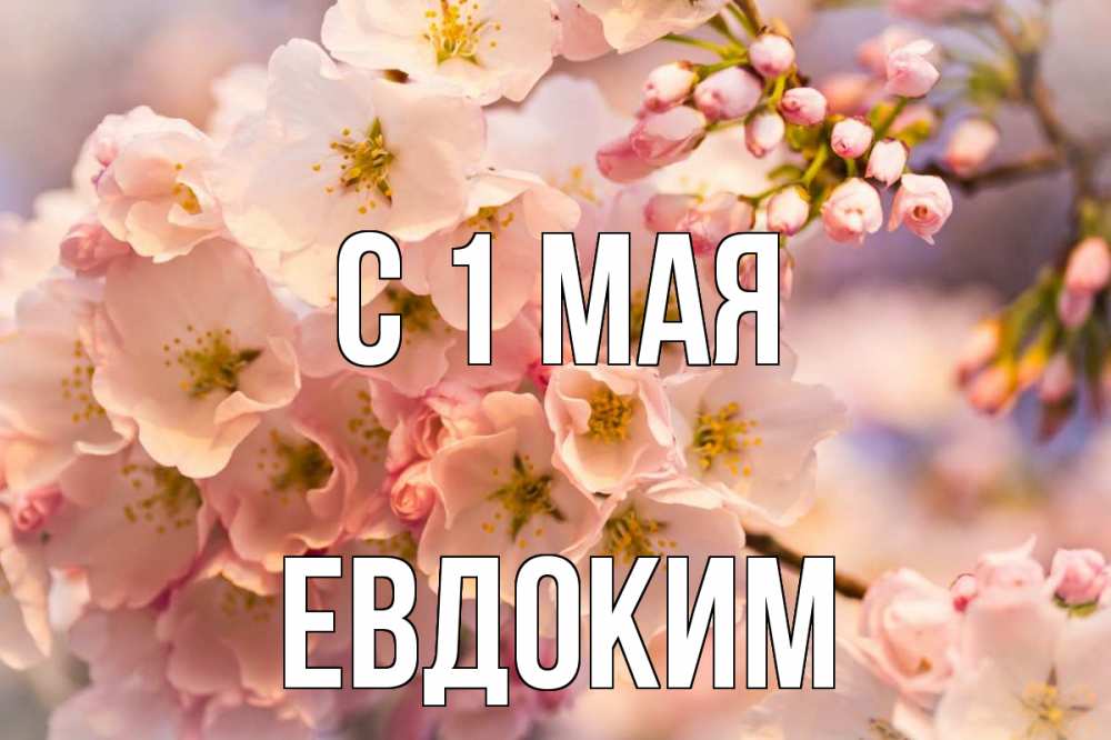 Открытка на каждый день с именем, Евдоким С 1 мая С 1 мая Прикольная открытка с пожеланием онлайн скачать бесплатно 