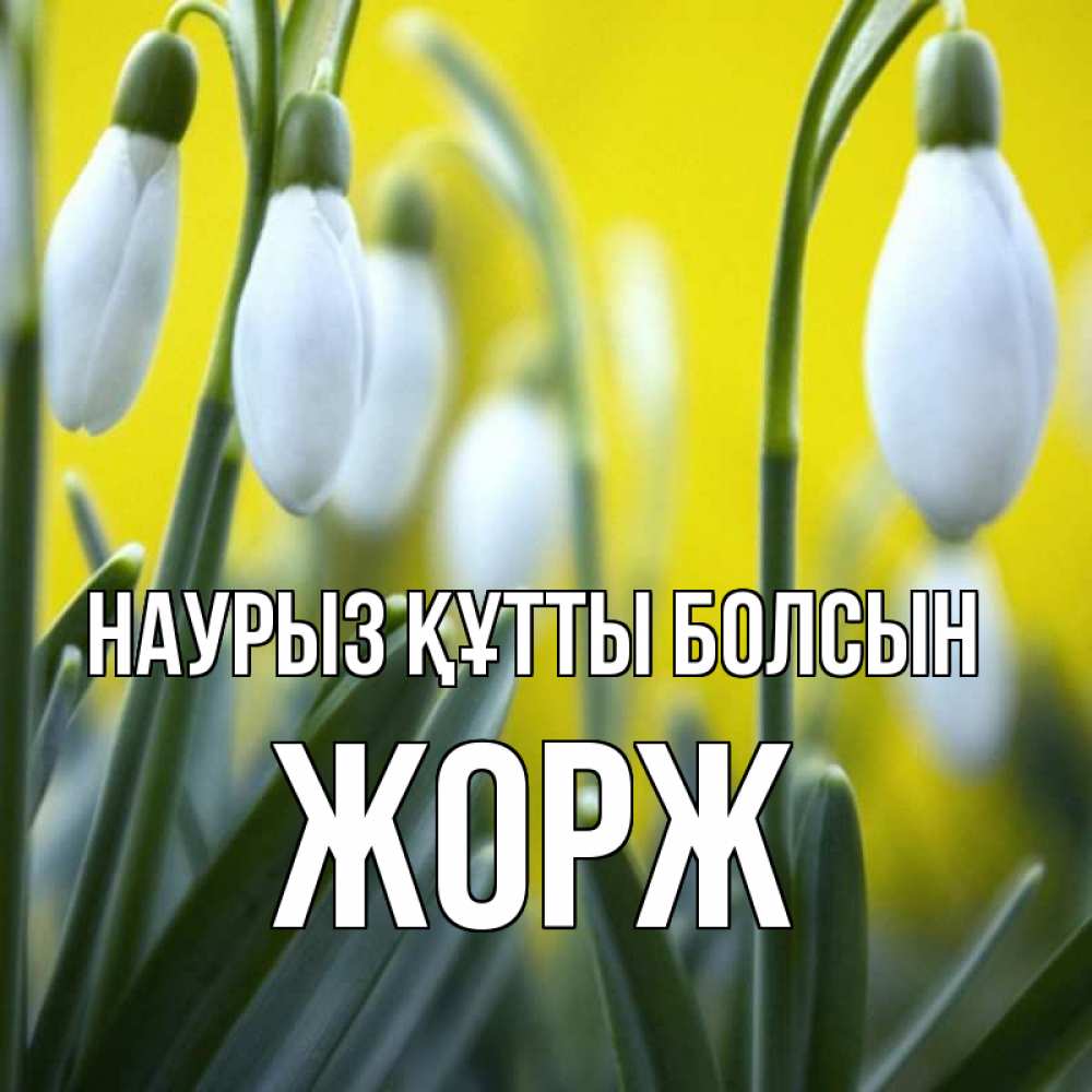 Открытка на каждый день с именем, Жорж Наурыз құтты болсын весенние цветы Прикольная открытка с пожеланием онлайн скачать бесплатно 