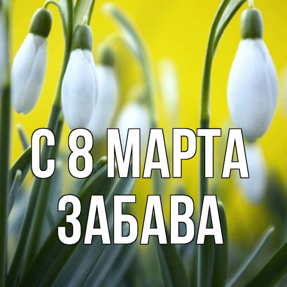 Открытка на каждый день с именем, Забава С 8 марта весенние цветы Прикольная открытка с пожеланием онлайн скачать бесплатно 