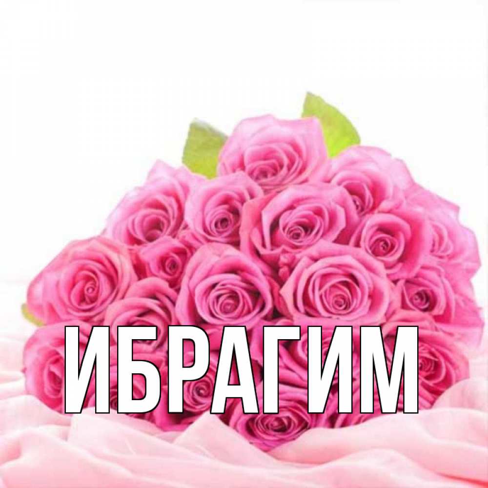 Открытка на каждый день с именем, Ибрагим Главная розовые розы с подписью Прикольная открытка с пожеланием онлайн скачать бесплатно 