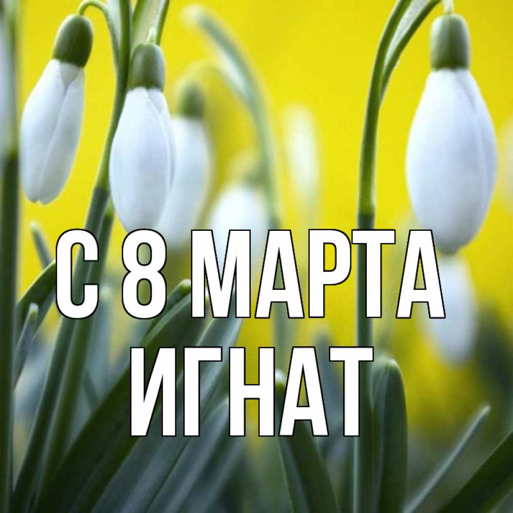 Открытка на каждый день с именем, Игнат С 8 МАРТА весенние цветы Прикольная открытка с пожеланием онлайн скачать бесплатно 